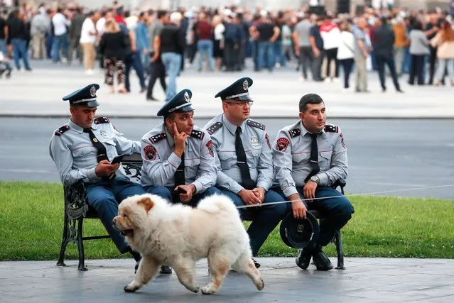 A dog on a leash walks past a group of Armenian police officers sitting on a bench as they keep watch near the government building during an opposition rally demanding the resignation of Prime Minister Pashinyan due to the Nagorno-Karabakh crisis, in downtown Yerevan, Armenia on September 30, 2023. Azerbaijan on 19 September 2023 launched a brief military offensive on the contested region of Nagorno-Karabakh, a breakaway enclave that is home to some 120,000 ethnic Armenians. Following a ceasefire agreed on 20 September 2023, Azerbaijan opened all checkpoints with Armenia for the unimpeded exit of civilians from the disputed territory. The Armenian government announced the evacuation of more than 100,000 local residents from Nagorno-Karabakh, and a humanitarian center has been set up in the village of Kornidzor near the so-called Lachin corridor, the main route between Armenia and the breakaway region. (Photo by Anatoly Maltsev/EPA/EFE)