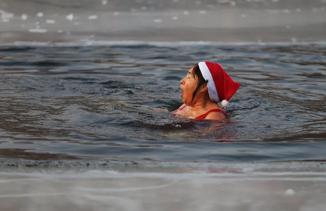 A winter swimmer wearing a Christmas hat swims in a half-frozen lake in Shenyang, Liaoning province, China, December 17, 2016. (Photo by Sheng Li/Reuters)