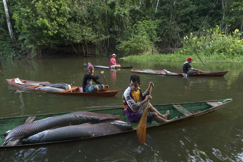 Fishing for Brazil's Fossils