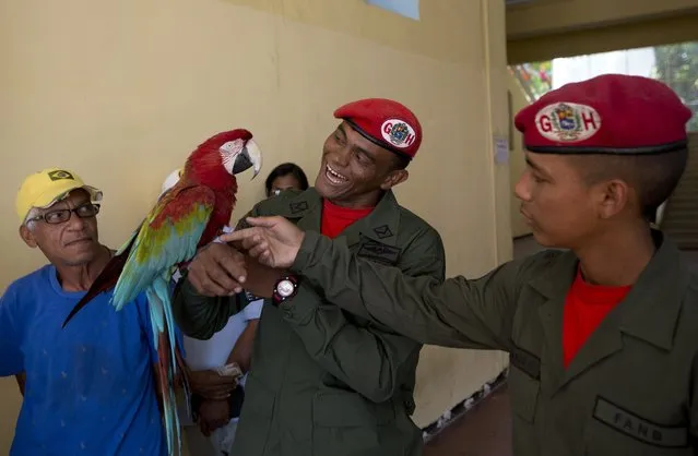 Presidential guards play with a school's parrot mascot as they wait to cast their ballots at a school serving as a voting center in Caracas, Venezuela, Sunday, December 9, 2018. Venezuelans head to the polls Sunday to elect local city councils amid widespread apathy driven by a crushing economic crisis and threats of expulsion by opposition groups for candidates who participate in what they consider an “electoral farce”. (Photo by Fernando Llano/AP Photo)