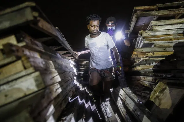 A man (C) comes out from hiding inside a stack of boards after he tried to escape from immigration officers during a raid in Dengkil, outside Kuala Lumpur, Malaysia, 21 June 2021. (Photo by Fazry Ismail/EPA/EFE)