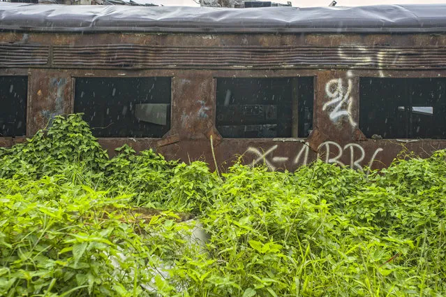 Graffiti is seen on the decreipt carriages, on February 27, 2015, in Purwakarta, Indonesia. (Photo by HKV/Barcroft Media)