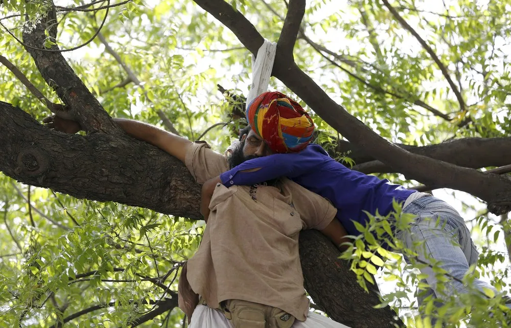 A Farmer Committed Suicide During a Rally in New Delhi