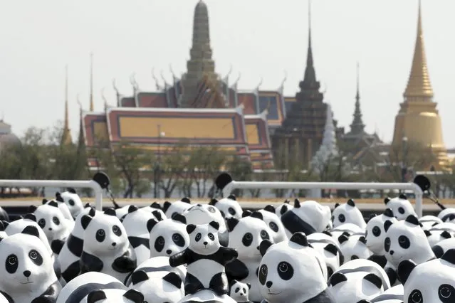 Panda sculptures are seen in front of Grand Palace during an exhibition by French artist Paulo Grangeon in Bangkok, Thailand, March 4, 2016. (Photo by Chaiwat Subprasom/Reuters)