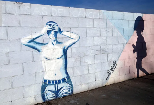 A migrant, part of a caravan of thousands traveling from Central America en route to the United States, casts her shadow on a wall of graffiti as she makes his way to Tijuana from Mexicali, Mexico, November 20, 2018. (Photo by Hannah McKay/Reuters)