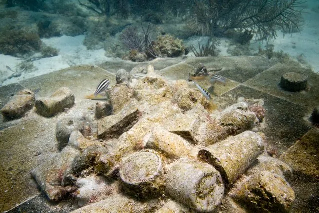 “Inheritance”. Underwater Sculpture, Museo Subacuático de Arte, Cancun. (Photo by Jason deCaires Taylor/UnderwaterSculpture)