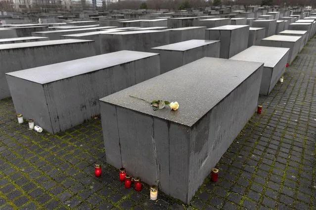 A rose is placed on the Holocaust Memorial on the International Holocaust Remembrance Day on January 27, 2023 in Berlin, Germany. Holocaust Remembrance Day, which falls on the anniversary of the January 27, 1945 liberation of the Auschwitz concentration camp, commemorates the millions of people murdered and persecuted by the Nazis from the 1930s and into World War II. The victims include over five million Jews, as well as political opponents, Roma, other religious groups and homosexuals. Today marks the 78th anniversary. (Photo by Maja Hitij/Getty Images)