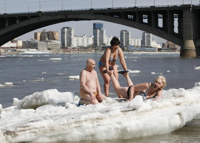 Members of the Cryophil winter swimmers club sunbathes as they sit on an ice floe on the Yenisei River in Krasnoyarsk, Russia, on April 9, 2014. (Photo by Ilya Naymushin/Reuters)