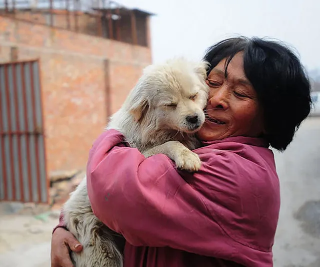 Yang Xiaoyun Saved 100 Dogs From Meat Festival