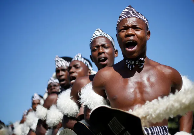 Contestants sing as they begin their routine during the annual Ingoma traditional Zulu dance competition in Durban, South Africa, March 21, 2017. (Photo by Rogan Ward/Reuters)