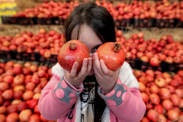 A girl holds up two pomegranates before her face during the Pomegranate Festival in Iran's capital Tehran on November 14, 2021. The festival is scheduled to run until November 22. (Photo by Atta Kenare/AFP Photo)