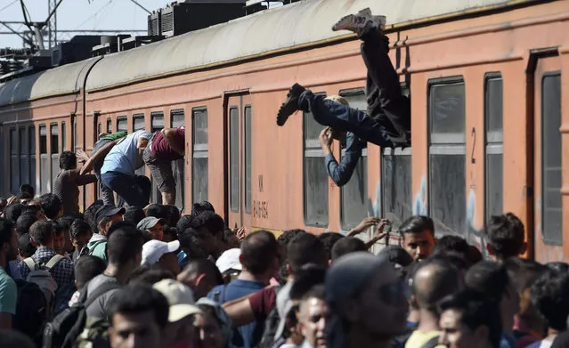 Migrants climb through the windows of a train bound for Serbia at the train station in Gevgelija, The Former Yugoslav Republic of Macedonia, 19 July 2015. Thousands of migrants who crossed Greece are on their way through Macedonia towards Serbia in order to access other European countries. (Photo by Georgi Licovski/EPA)