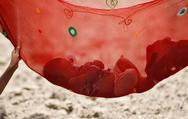 The child of a farmer sleeps in a hammock under the shade of a tree in a field on the outskirts of Ahmedabad, India May 31, 2016. (Photo by Amit Dave/Reuters)