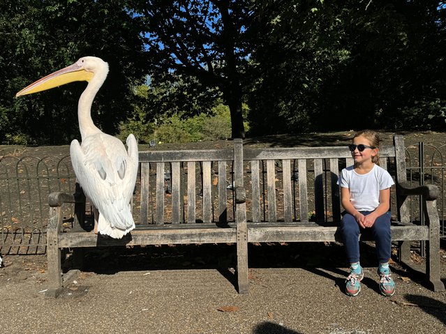 A girl shares a bench with a pelican in the beautiful late September sunshine in St James’s Park, London, UK on September 28, 2024. The water birds have lived in and around the park since 1664. (Photo by Jill Mead/The Guardian)