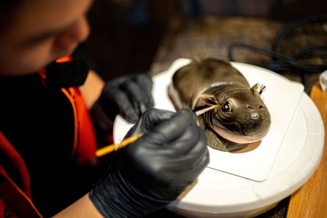 Chalet Kulsaree, 32, the owner of Vetmon Cafe (Magic Cafe) decorates a Moo Deng cake (cake in the shape of the pygmy hippo who has recently become a viral internet sensation) at his cafe, in Bangkok, Thailand, on September 25, 2024. (Photo by Athit Perawongmetha/Reuters)