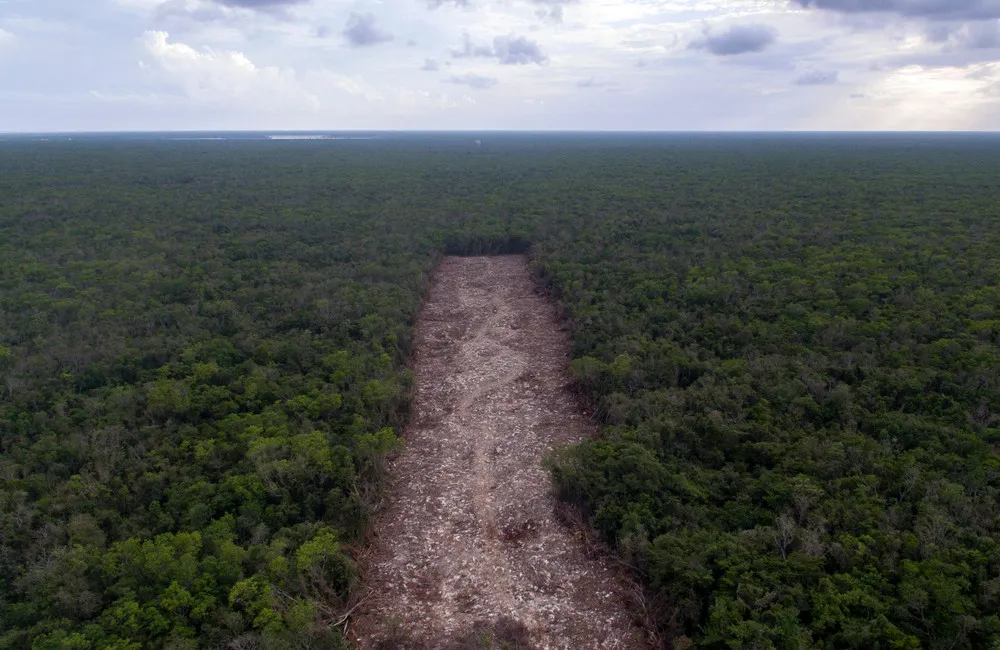 View from Above