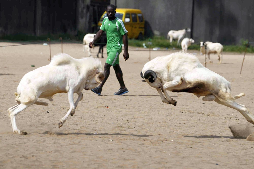 Pictures of the Year 2023, Part 212/224