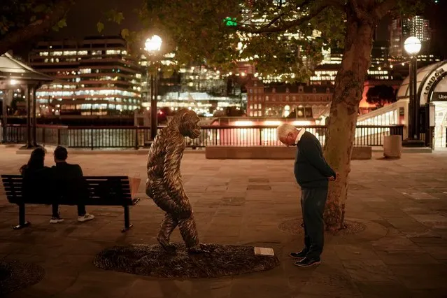A man looks at the description of a sculpture depicting 17-year-old male chimpanzee Jaska, by Gillie and Mark, in London, Tuesday, September 20, 2022. (Photo by Vadim Ghirda/AP Photo)