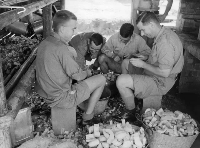Soldiers ordered to peel potatoes are not reckoned to smile like this. But this is the secret: “spud barbering”, as the Diggers call it, is shared by all except – of course N.C.O's. The men go on a roster and these men's turn has come  December 16, 1942. That removes any cause for ill-feeling, and gives them men a chance for a gossip as good as any sewing-bee. (Photo by AP Photo)