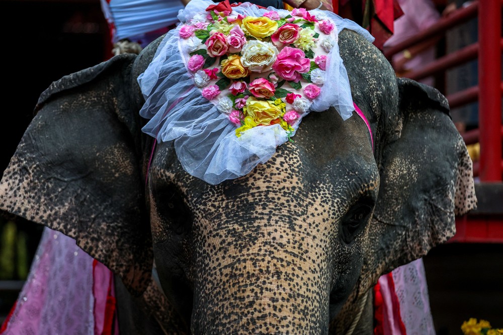 Pictures of the Year 2024, Part 026/240