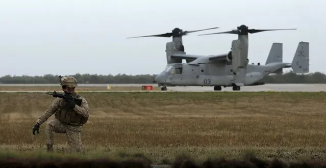 A U.S. marine and a U.S. Marine V-22 Osprey are seen during a military exercise in Moron military airbase, southern Spain October 6, 2015. (Photo by Marcelo del Pozo/Reuters)