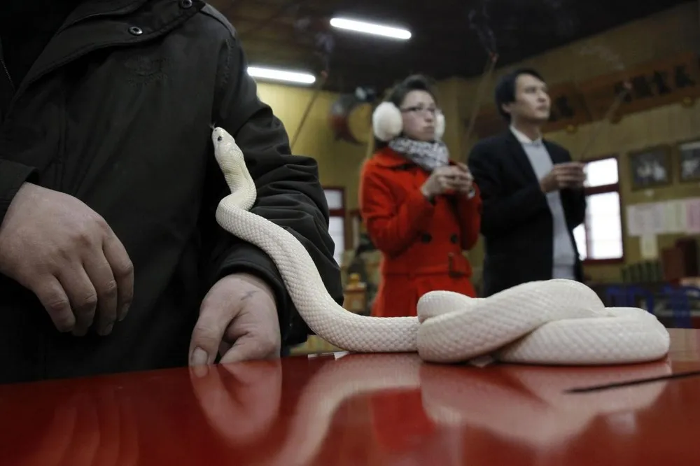 China Prepares for the Year of Snake