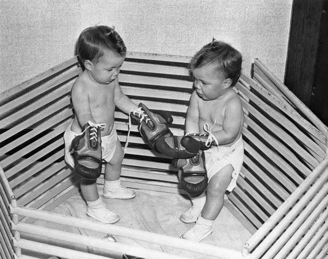 Baby boys (6-11 months) boxing. (Photo by Bettmann Archive)