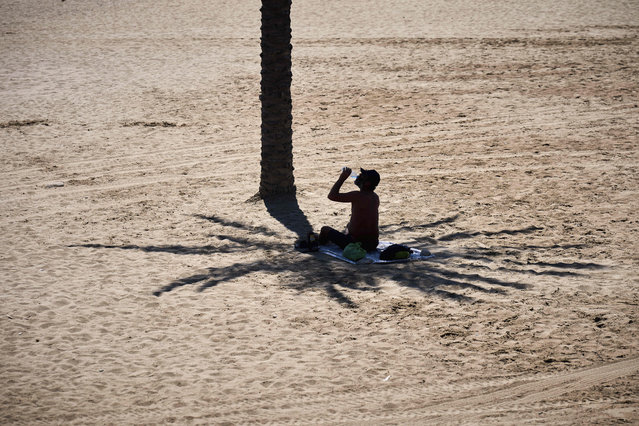 A man takes advantage of the shade of a palm tree to protect himself from the sun while hydrating himself by drinking water, on a hot day at the beach in Barcelona, Spain, Wednesday, July 2, 2025. (Photo by Emilio Morenatti/AP Photo)