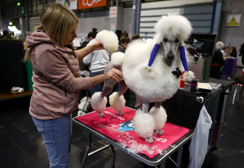 The Day in Photos – March 14, 2023