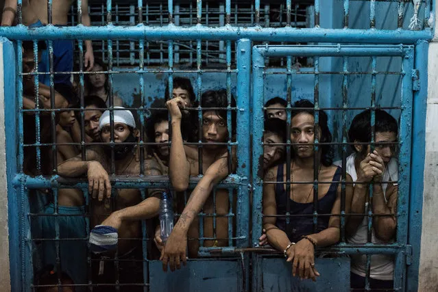 Inmates watch as drug suspects are processed inside a police station on October 12, 2016 in Manila, Philippines. The Duterte administration shifted to the next phase on its war on drugs after the first 100 days of President Rodrigo Duterte as over 3,600 people have been killed while more than 700,000 drug dependents surrendered to authorities. According to reports, Duterte received an “excellent” rating for his war on drugs during a recent opinion, with 84 percent of Filipinos respondents said they are satisfied with the drug crackdown. (Photo by Dondi Tawatao/Getty Images)