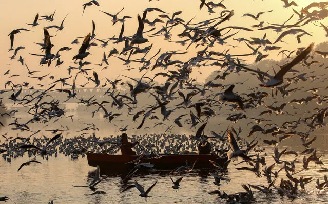 An Indian man in a boat feeds migratory birds on a cold morning near the banks of the Yamuna River in New Delhi, India, 18 December 2020. Migratory birds arrive in New Delhi for the winter season from different parts of India and neighboring countries and are expected to leave in March 2021. (Photo by Rajat Gupta/EPA/EFE)