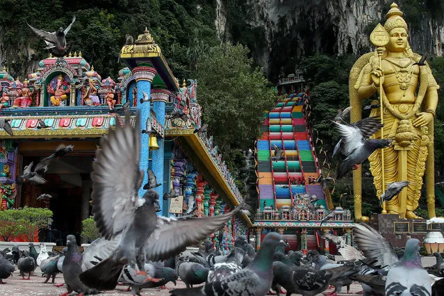 A general view of 272 steps at the major Hindu temple and tourist attraction Batu Caves Temple in Kuala Lumpur, Malaysia, 06 January 2021. (Photo by Fazry Ismail/EPA/EFE)