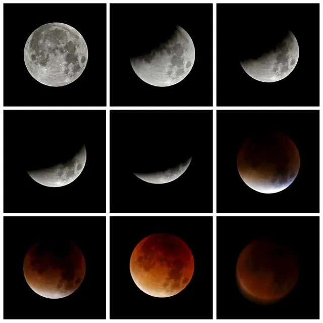 A combination of images shows the progression of a lunar eclipse coinciding with a supermoon, seen from Hemel Hempstead in Britain September 28, 2015. (Photo by Paul Childs/Reuters)