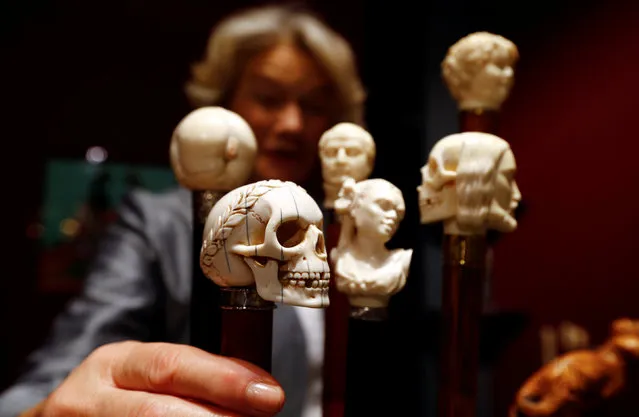 A gallerist adjusts walking sticks from the 19th century decorated with various sculptures made of ivory at the Cologne Fine Art fair, in Cologne, Germany, November 16, 2016.. (Photo by Wolfgang Rattay/Reuters)