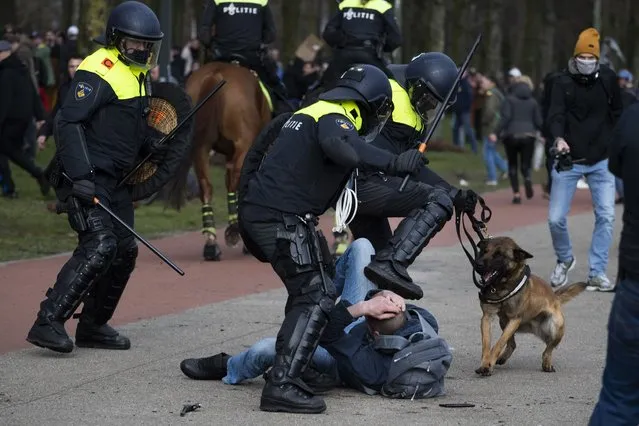 Dutch riot police kick a man during a demonstration to protest government policies including the curfew, lockdown and coronavirus related restrictions in The Hague, Netherlands, Sunday, March 14, 2021. Thousands of people took part in the rally ahead of three days of voting starting Monday in a general election. (Photo by Peter Dejong/AP Photo)
