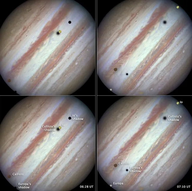 Three of Jupiter's largest moons are seen moving across the banded face of Jupiter in these images from NASA's Hubble Space Telescope taken January 24, 2015 and released February 5, 2015. (Photo by Reuters/NASA)