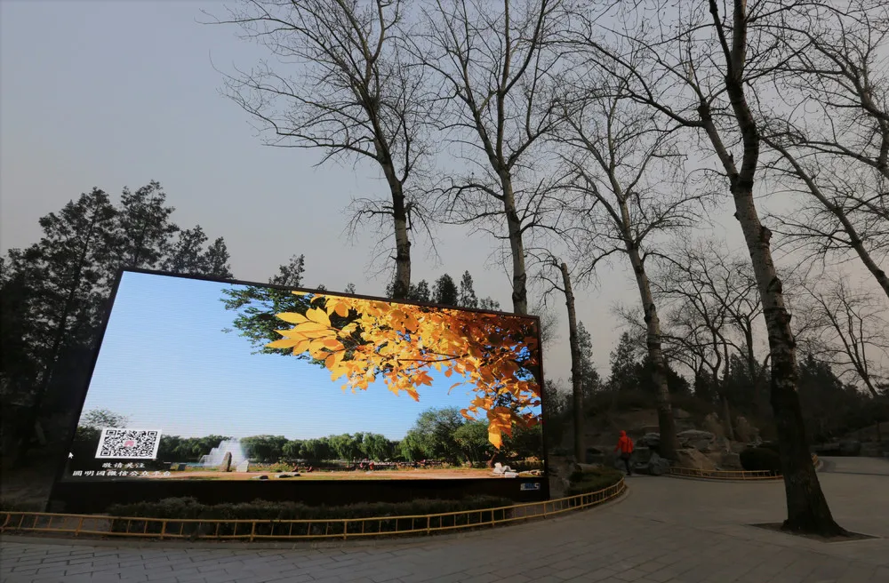 A Look at Life in China