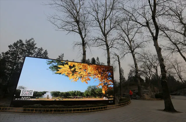 A screen is pictured in smog on a polluted day as a red alert issued for air pollution in Beijing, China December 17, 2016. (Photo by Jason Lee/Reuters)