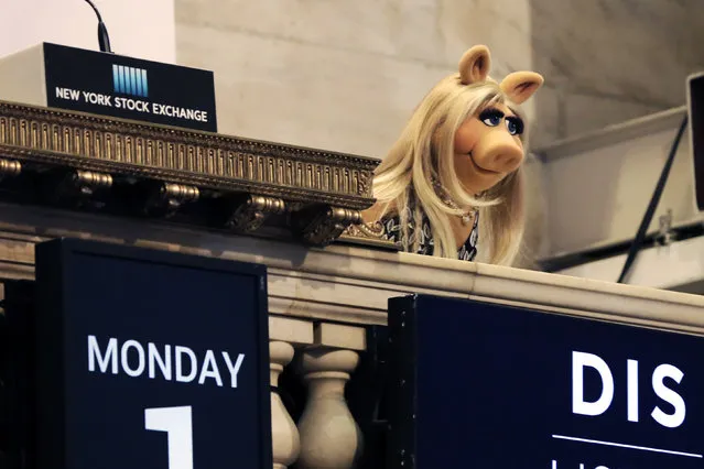 Miss Piggy overlooks the New York Stock Exchange trading floor after ringing the opening bell to highlight the season premier of Disney's “The Muppets” television show, Monday, February 1, 2016. (Photo by Richard Drew/AP Photo)