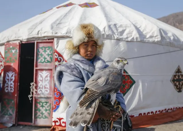 A young hunter holds his tamed hawk in front of a yurt, national Kazakh tent, during the traditional hunting contest outside the village of Nura, east from Almaty, Kazakhstan, February 13, 2016. (Photo by Shamil Zhumatov/Reuters)