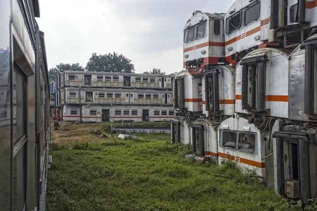 Overgrown shrubbery has infiltrated the carriages, on February 27, 2015, in Purwakarta, Indonesia. (Photo by HKV/Barcroft Media)