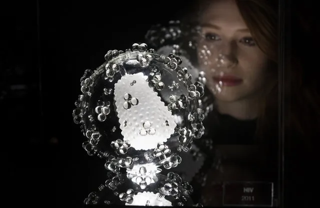 Tamsin Huggins, 22, looks at a jewel-like sculpture of the HIV virus which forms part of the Glass Microbiology exhibition that aims to brings the invisible world of viruses to life at At-Bristol science centre on February 3, 2017 in Bristol, England. Bristol based installation artist Luke Jerram's sculptures were designed in consultation with virologists from the University of Bristol, using a combination of different scientific photographs and models. They were made in collaboration with glassblowers Brian Jones and Norman Veitch. (Photo by Matt Cardy/Getty Images)