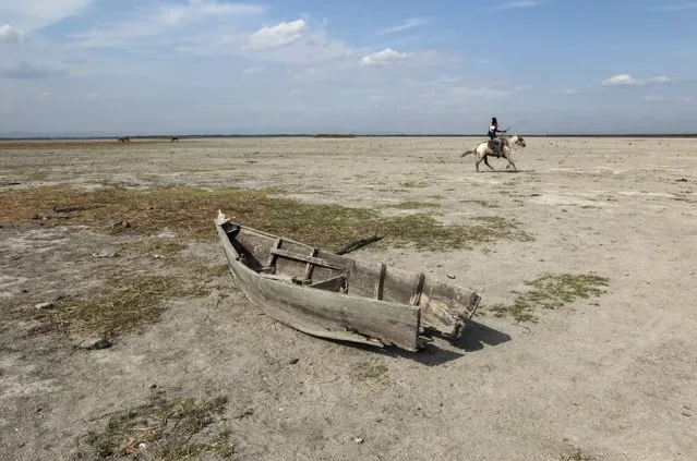 A fishing boat is seen on the dried ground at the Tisma lagoon wetland park due to drought affecting Tisma town, Nicaragua April 20, 2016. (Photo by Oswaldo Rivas/Reuters)