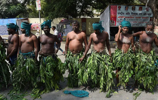 Indian farmers from the southern state of Tamil Nadu wear tree leaves as they take part in a protest in New Delhi on March 16, 2017. Tamil Nadu state farmers protested to demand a profitable price for their agricultral products, and called for the formation of a management committee for solving Cauvery River water dispute between Tamil Nadu and neighbouring Karnataka. More than 200 farmers have committed suicide in Tamil Nadu in recent months following crop failure due to poor rainfall and inadequate water for irrigation. (Photo by Prakash Singh/AFP Photo)