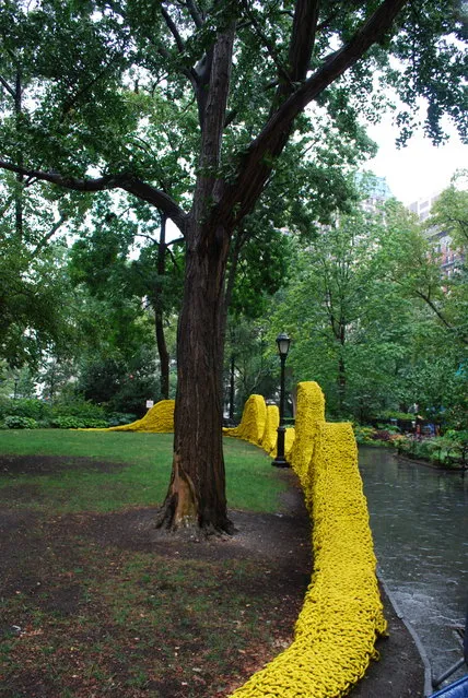 Red, Yellow, and Blue – A Cool Art Installation in Madison Square Park