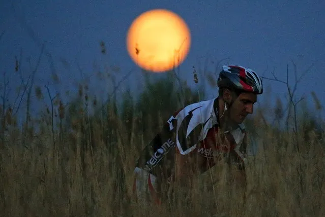 A cyclist rides his mountain bike as a full moon, known as the Blue Moon, rises in a park in Rome, Italy, July 31, 2015. (Photo by Max Rossi/Reuters)