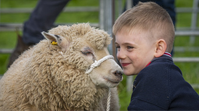 Jake Burn had high hopes for his entry at Yetholm Border Shepherds’ Show in the Scottish Borders on Saturday, October 5, 2024. (Photo by Phil Wilkinson/The Times)