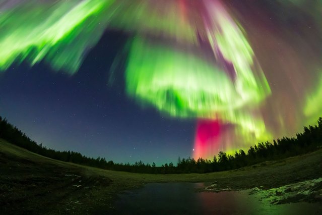 A view of northern lights over the skies of Sodankyla, Lapland, Finland, on October 7, 2024. (Photo by Alexander Kuznetsov/Courtesy of All About Lapland/Handout via Reuters)