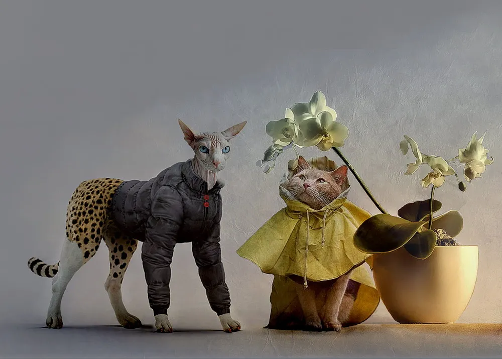 Digital Art by Giovanni Ambrosioni