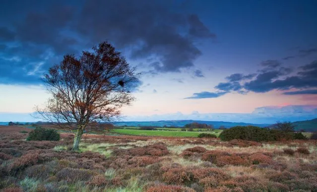 North York Moors National Park. Famous for its spectacular purple heather moorland and beautiful heritage coast, North York Moors National Park is also home to an array of wildlife including red squirrels and badgers. (Photo by Mike Nicholas/NYMNPA)